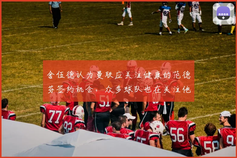 舍伍德认为曼联应关注健康的范德芬签约机会，众多球队也在关注他